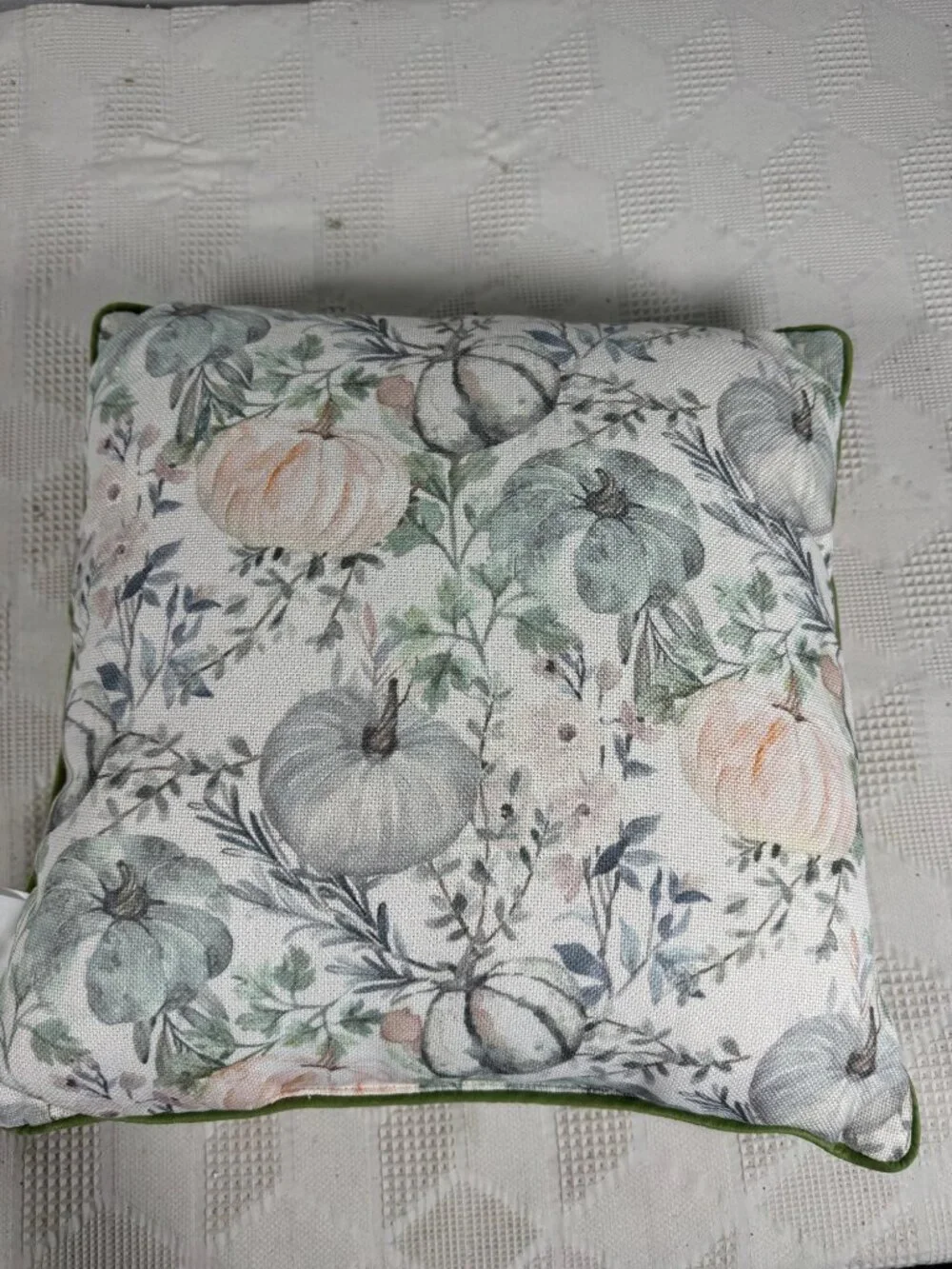Hello Pumpkin Fall Throw Pillow Embroidered Text Watercolor Pumpkin 16 Inches